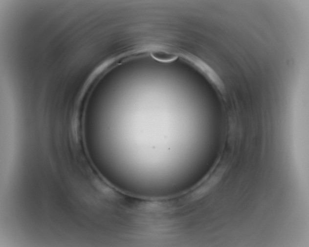 X0000113880904200910011130