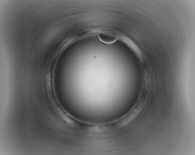 X0000113880906200910011130