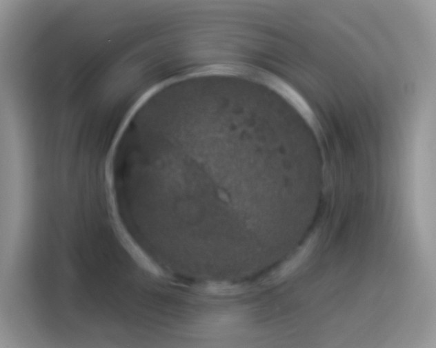 X0000113880907200910011130