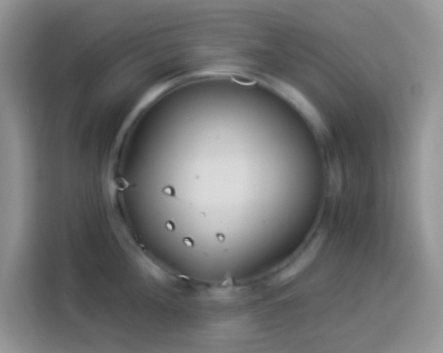 X0000113880908200910011130