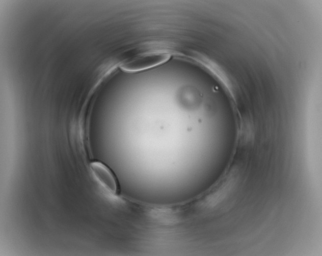 X0000113880909200910011130