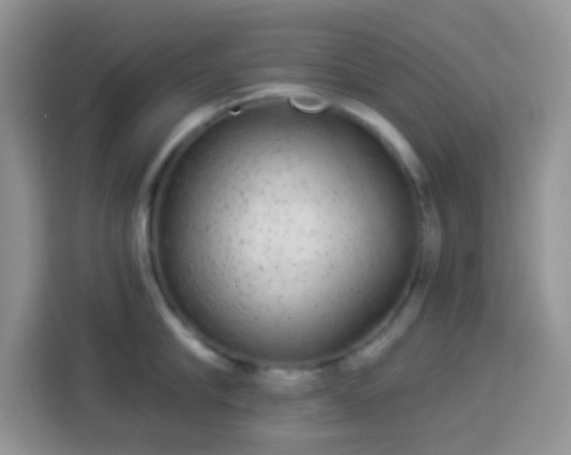 X0000113880910200910011130