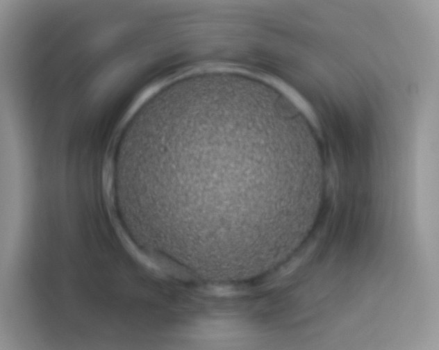 X0000113880911200910011130