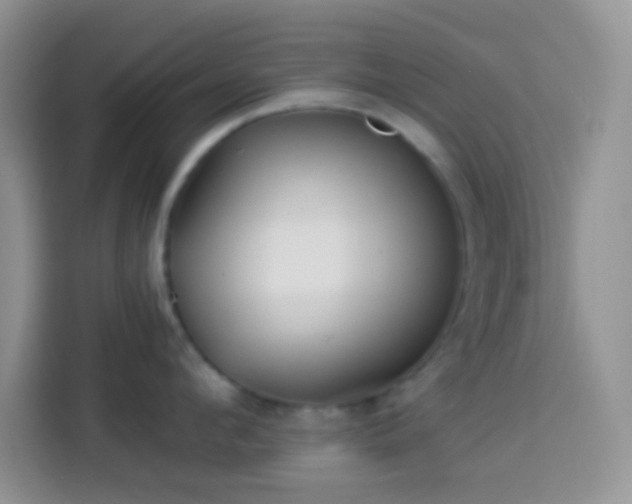 X0000113880912200910011130