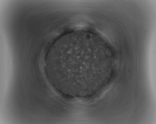 X0000113880913200910011129