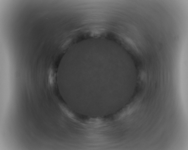 X0000113880914200910011129