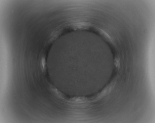 X0000113880915200910011129