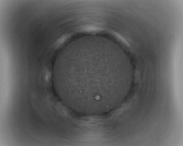 X0000113880917200910011129