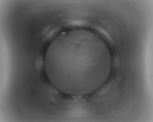 X0000113880918200910011129