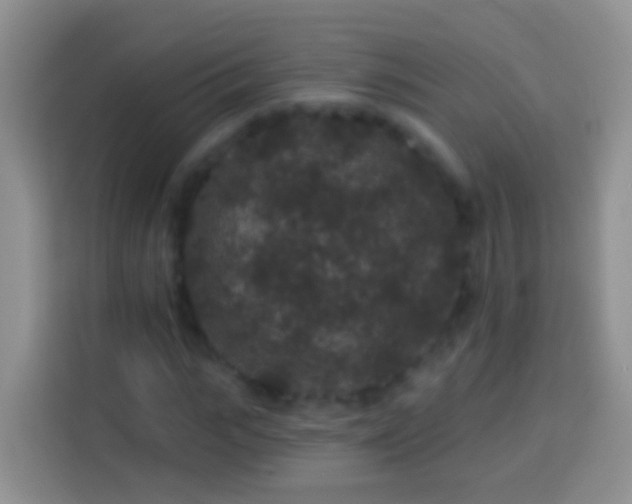 X0000113880919200910011129