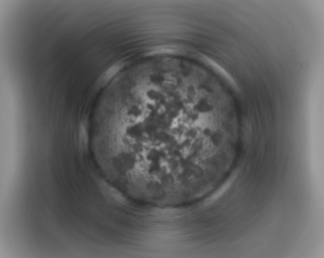 X0000113880921200910011129