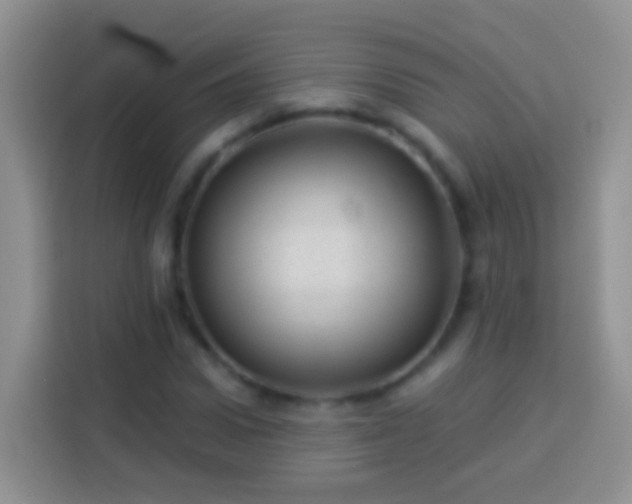 X0000113880922200910011129