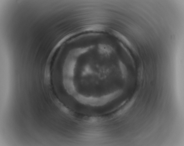 X0000113880923200910011129