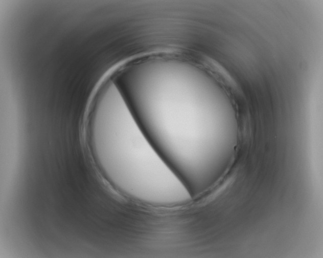 X0000113880924200910011129