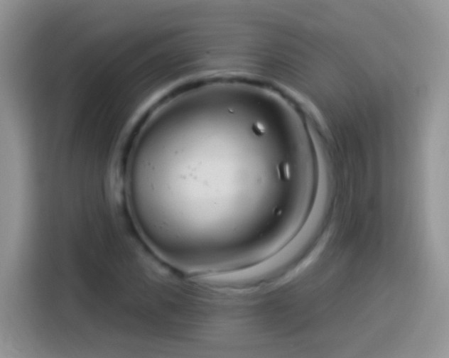 X0000113880925200910011129