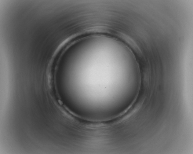 X0000113880926200910011129