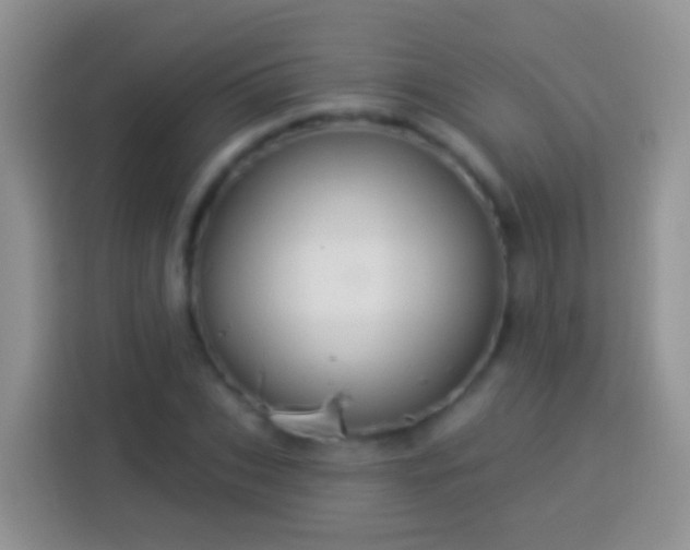 X0000113880927200910011129