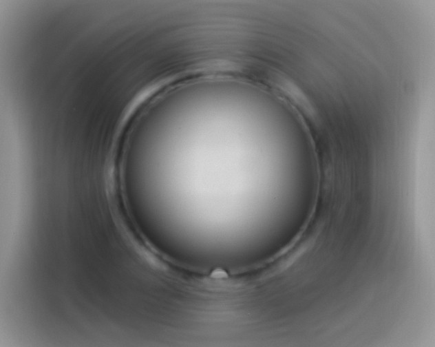 X0000113880928200910011129