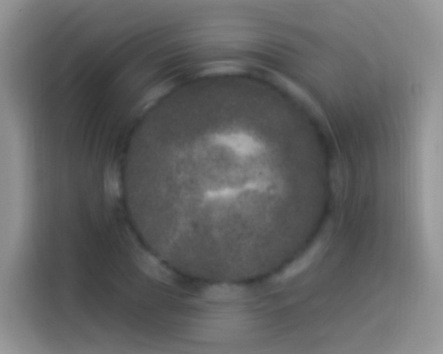 X0000113880929200910011129