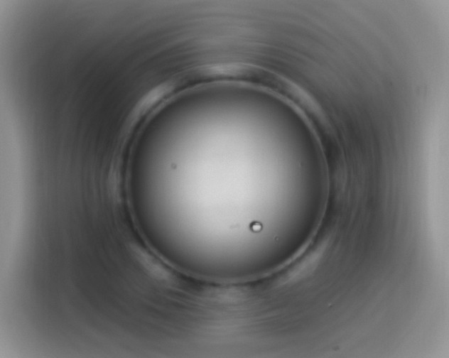 X0000113880930200910011129