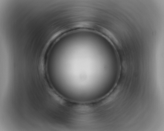 X0000113880931200910011129