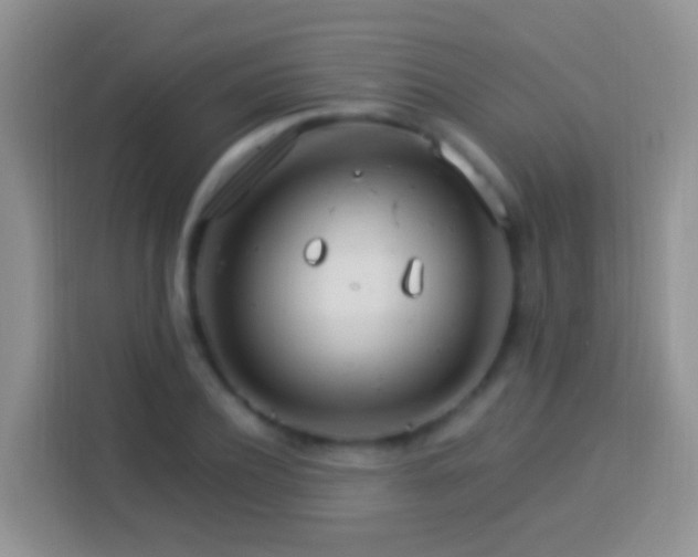 X0000113880932200910011129