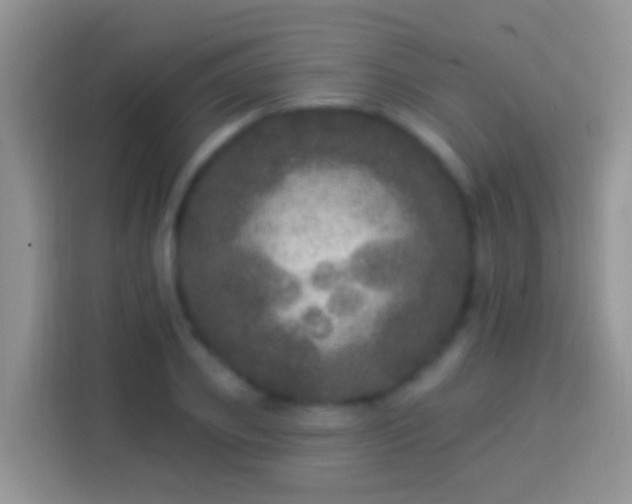 X0000113880933200910011129