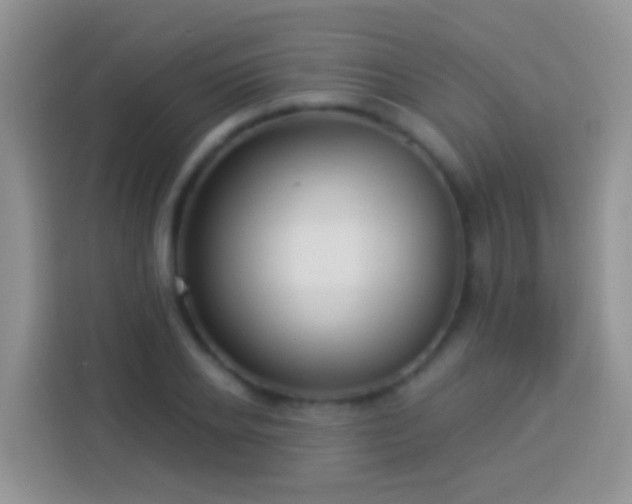 X0000113880934200910011129