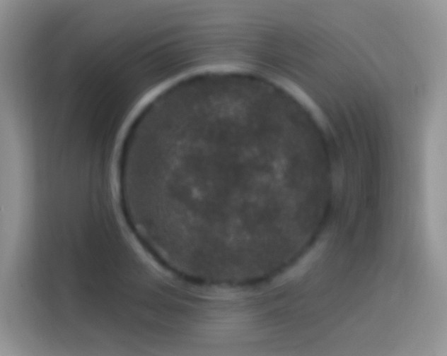 X0000113880935200910011129