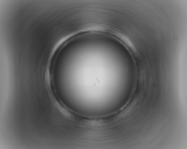 X0000113880936200910011129