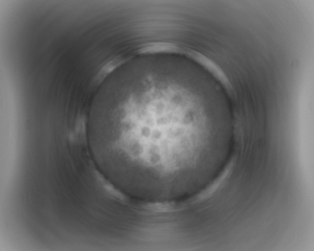 X0000113880937200910011129