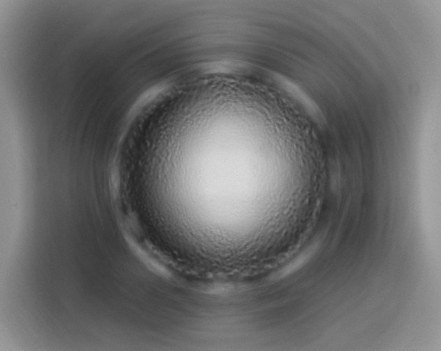 X0000113880938200910011129