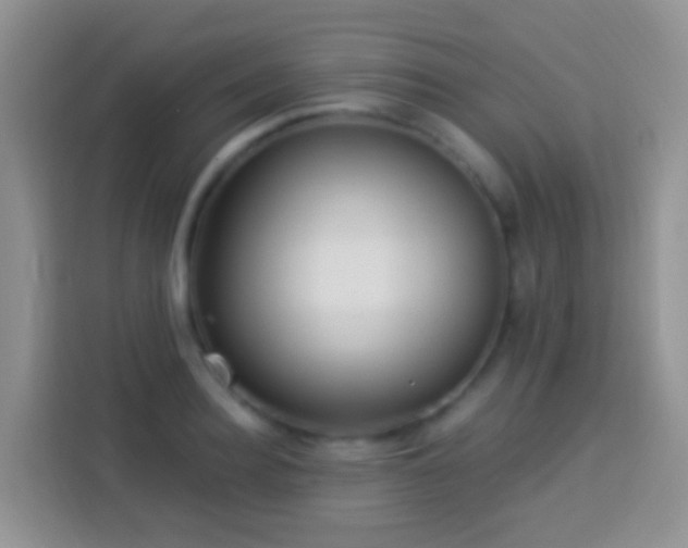 X0000113880940200910011129