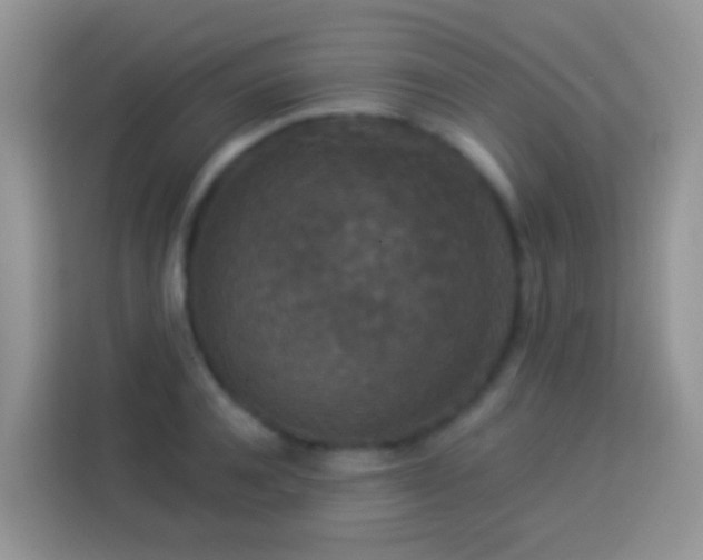 X0000113880944200910011130