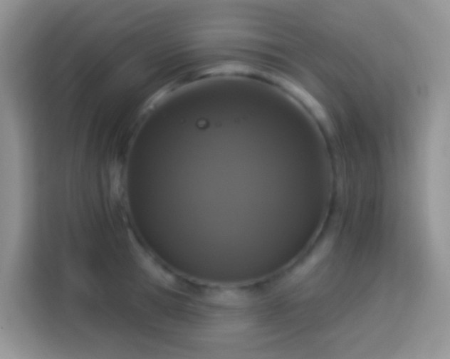 X0000113880945200910011130