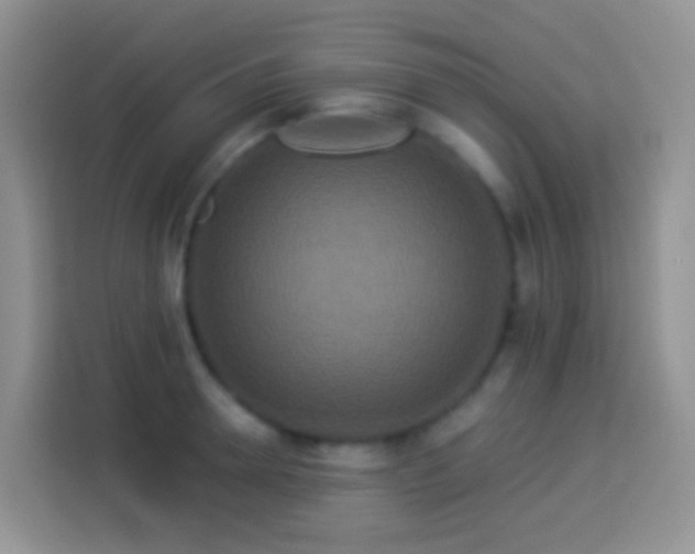 X0000113880946200910011130