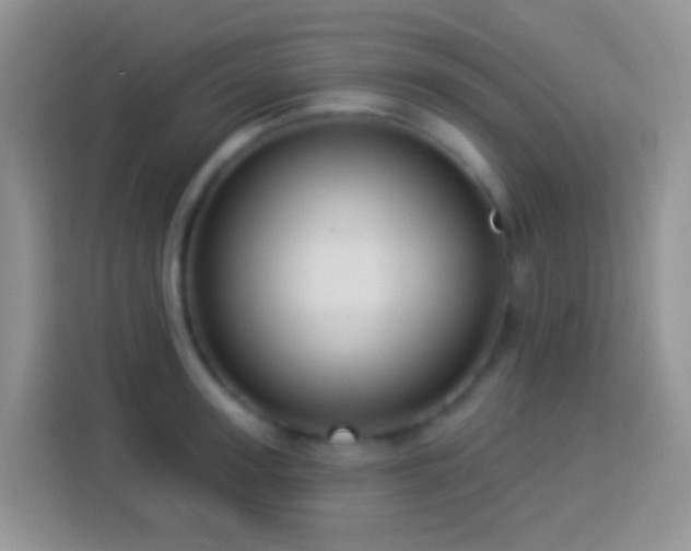 X0000113880947200910011130