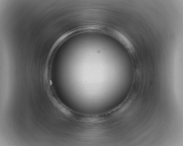 X0000113880948200910011130