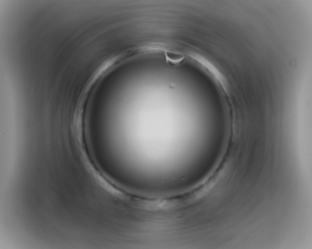 X0000113880949200910011130