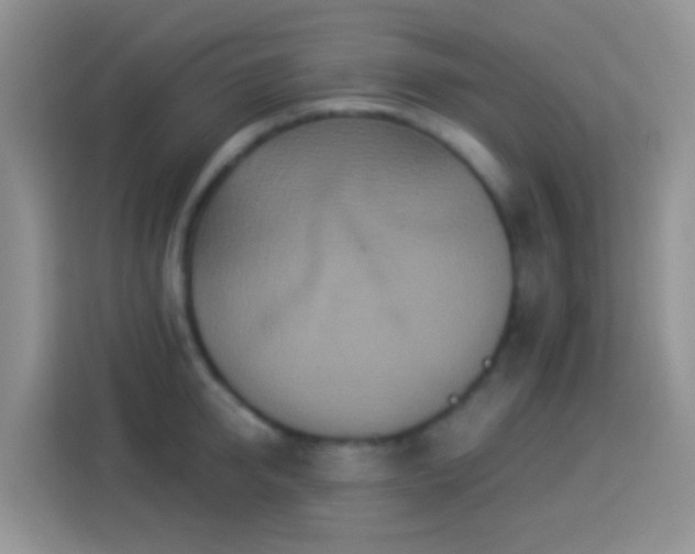 X0000113880950200910011130