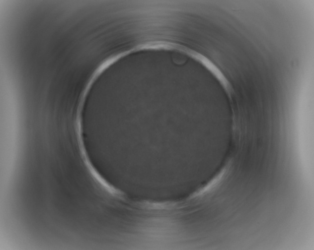 X0000113880951200910011130