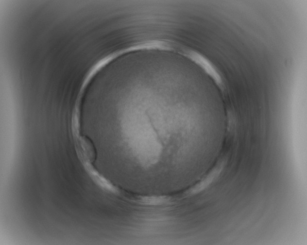 X0000113880952200910011130