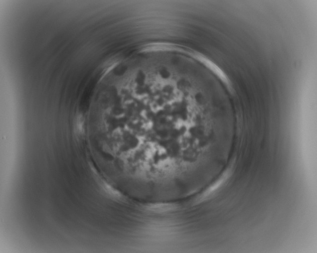 X0000113880953200910011130