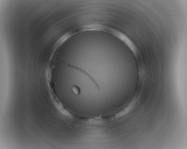 X0000113880954200910011130