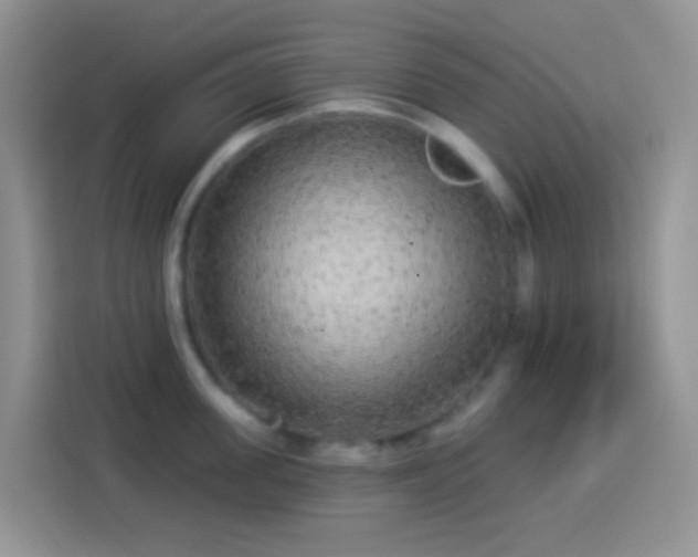 X0000113880955200910011130