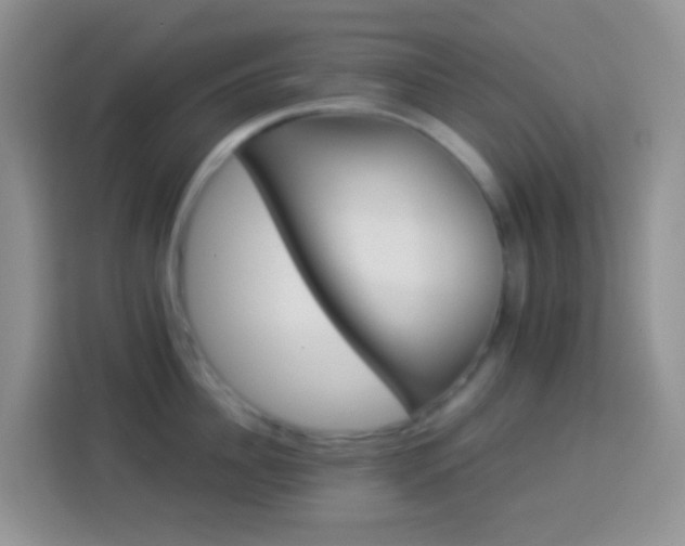 X0000113880956200910011130