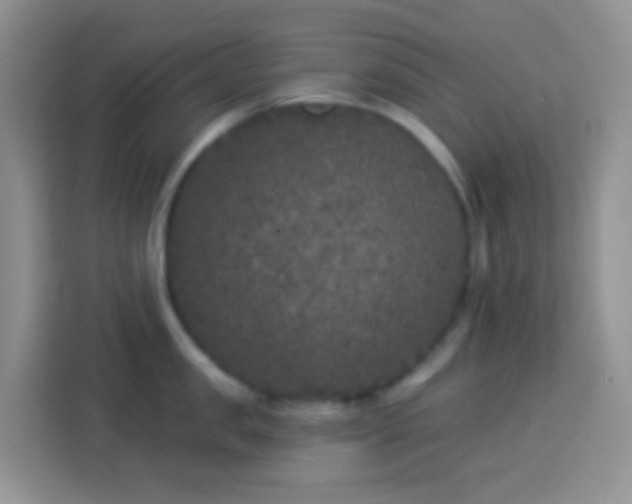 X0000113880957200910011130