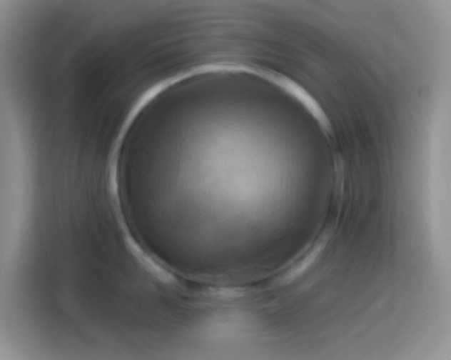 X0000113880958200910011130