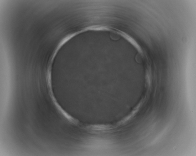 X0000113880959200910011130