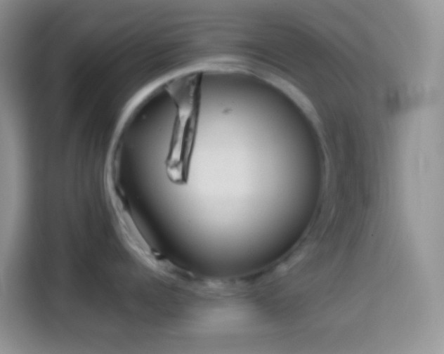 X0000113880960200910011130